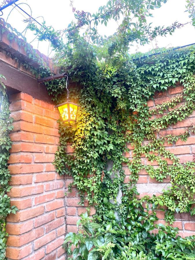 Apartamento Entre Tejas Concepción de Ataco Exterior foto